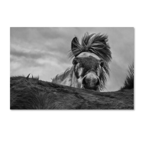 Trademark Fine Art Bragi Ingibergsson 'Hi' Canvas Art, 16x24 1X02733-C1624GG